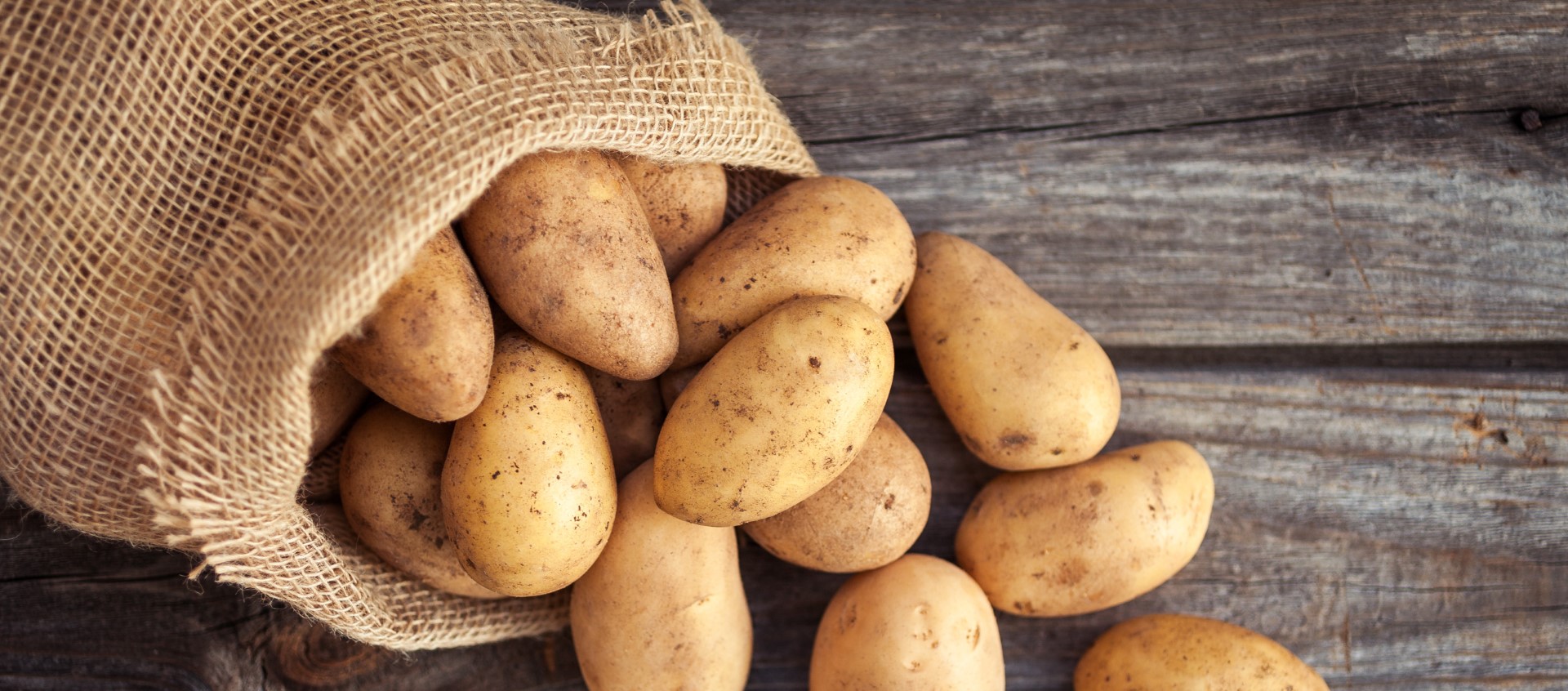 A sack of raw potatoes falling out of a bag