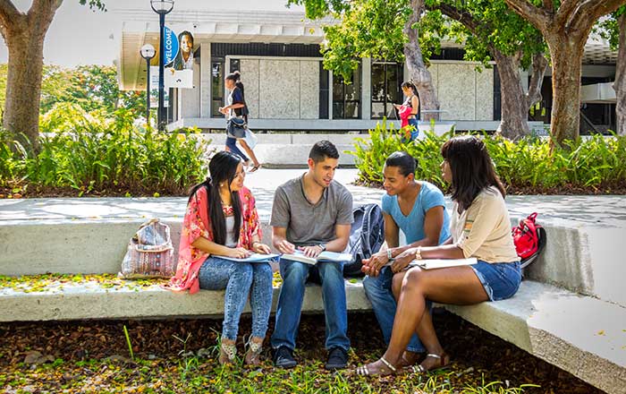 students sitting outside under trees