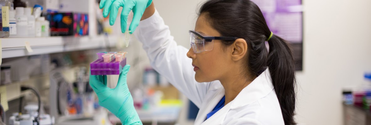 Student looking at samples